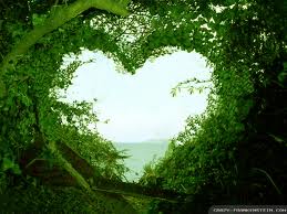 love nature